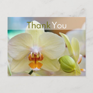 Cartão Postal Orquídea - Obrigado Cartão-Postal