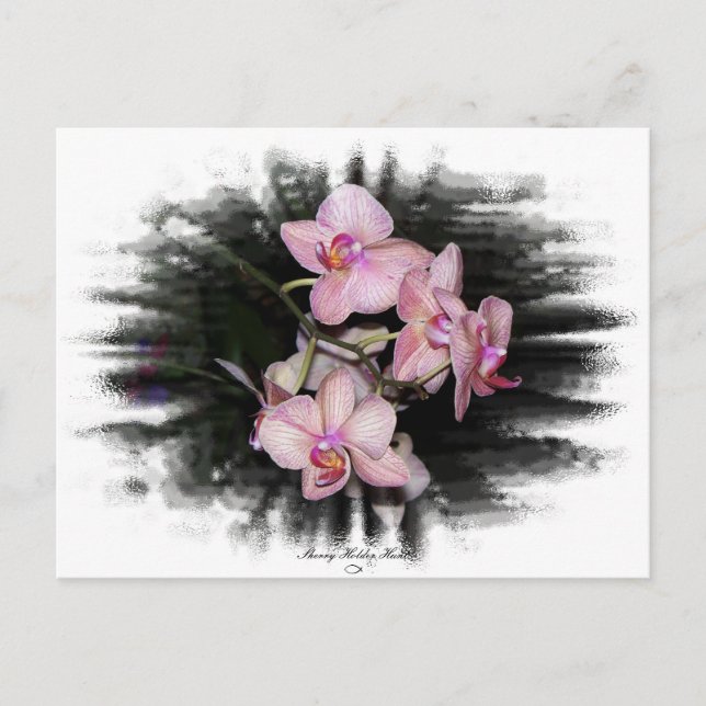 Cartão Postal Orquídea - Quadro 1 (Frente)