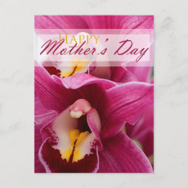 Cartão Postal Orquídea rosa para Dia de as mães