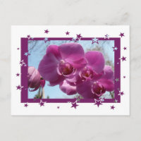 Orquídea Roxa
