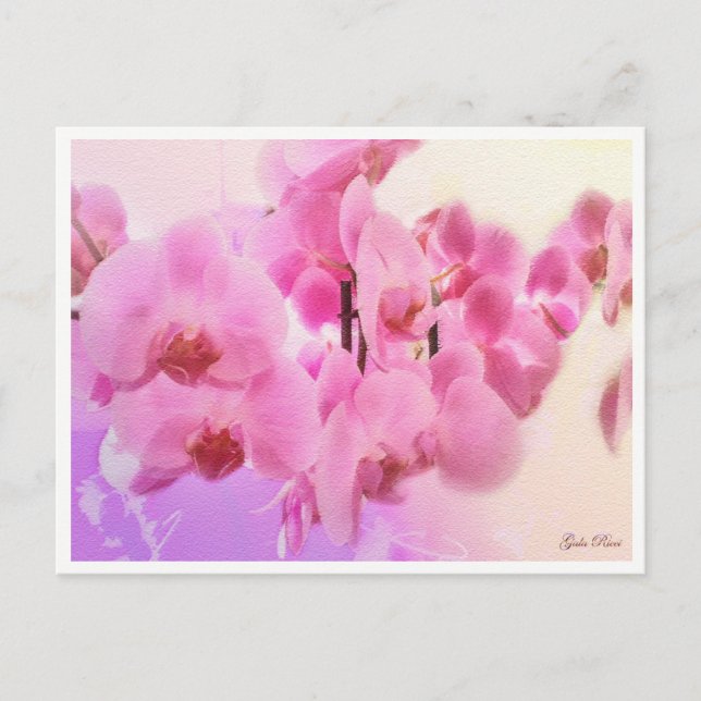 Cartão Postal orquídeas (Frente)
