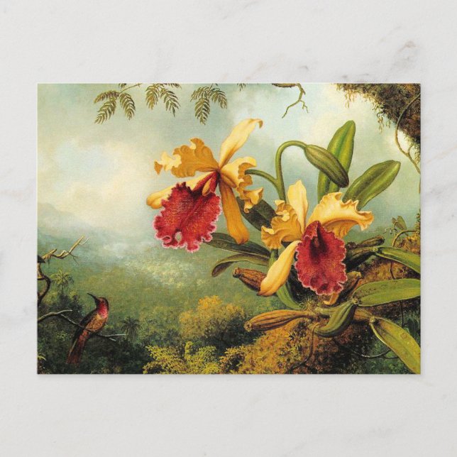 Cartão Postal Orquídeas Amarelas (Frente)