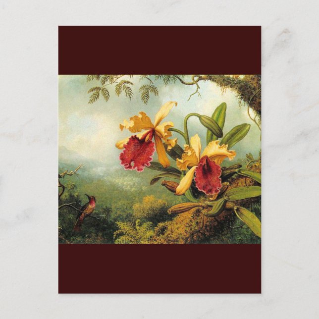 Cartão Postal Orquídeas Amarelas (Frente)