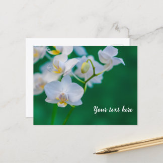 Cartão Postal Orquídeas Brancas em Verde