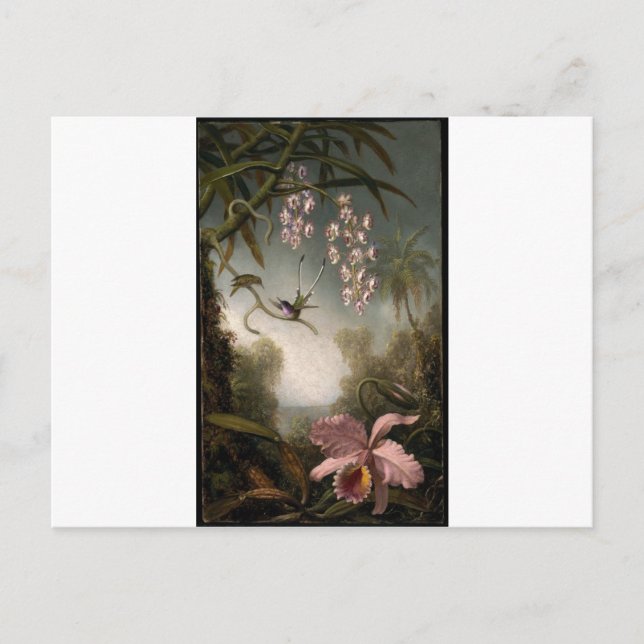 Cartão Postal Orquídeas e Orquídeas Pulverizantes com Hummingbir (Frente)