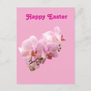 Cartão Postal Orquídeas Rosa “Feliz Páscoa”