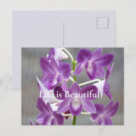 Cartão Postal Orquídeas Roxas Kauai Hawaii