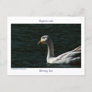 Cartão Postal “Orvalho da Manhã” Lago Hesperia