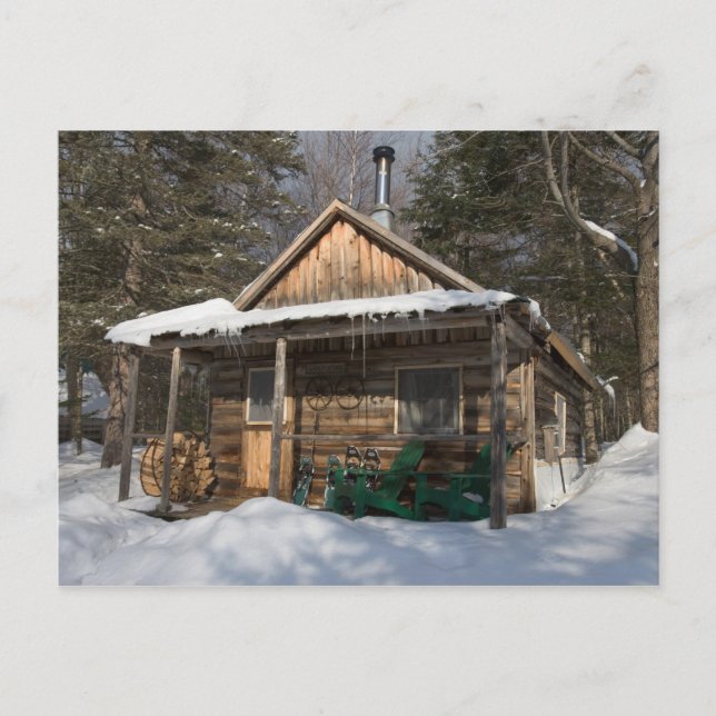 Cartão Postal Os cabines do pequeno Lyford Pond da AMC (Frente)