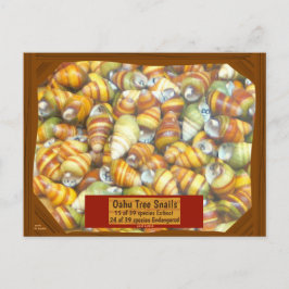 Cartão Postal Os caracóis famosos da árvore de Oahu estão indo