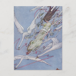 Cartão Postal Os Cisnes Selvagens