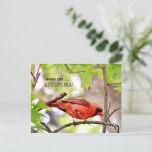 Cartão Postal Os Dias Melhores Estão Chegando Cartão-Postal