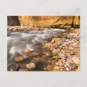 Cartão Postal Os Estreitos do Virgin River no Outono 4