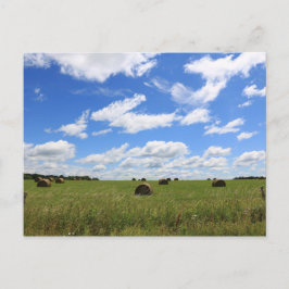 Cartão Postal Os Fardos de Verão 3