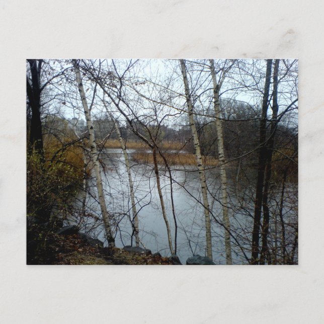 Cartão Postal Os Fens, Back Bay, Boston (Frente)