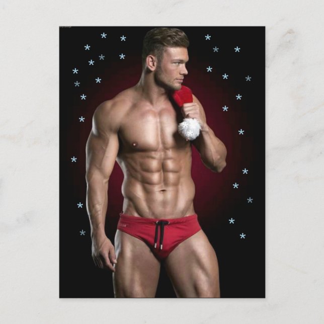 Cartão Postal Os Gatos Mais Gatos do Planeta! Hora da Igualdade! (Frente)