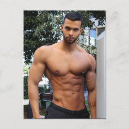 Cartão Postal Os Gatos Mais Quentes do Planeta! Hora da Igualdad