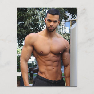 Cartão Postal Os Gatos Mais Quentes do Planeta! Hora da Igualdad