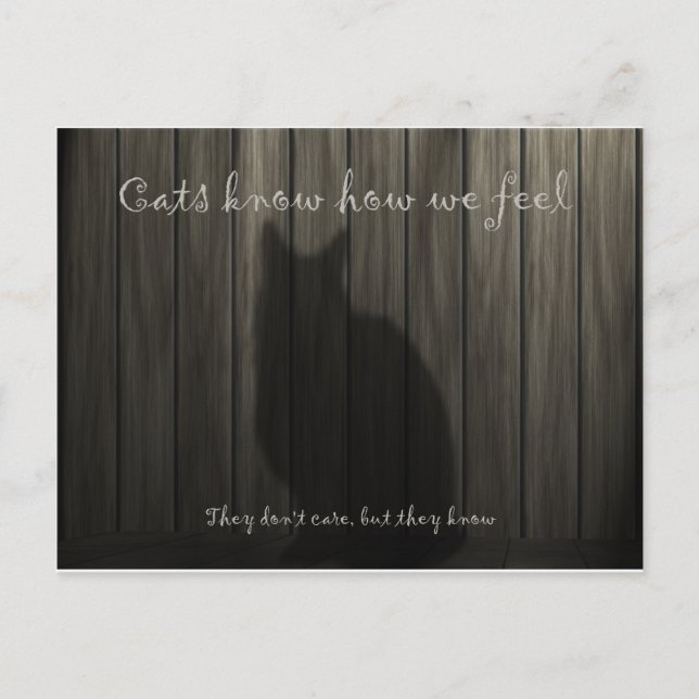 Cartão Postal Os Gatos Sabem Como Nos Sentimos (Frente)