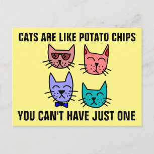 CARTÃO POSTAL OS GATOS SÃO COMO BATALHOS DE BATATA QUE VOCÊ NÃO