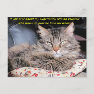 Cartão Postal Os Gatos São Memória Superior
