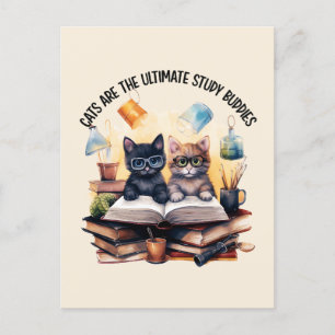 Cartão Postal Os Gatos São Os Últimos Amigos Do Estudo