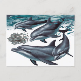 Cartão Postal Os golfinhos