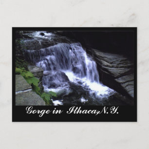Cartão Postal OS GORGES DE ITHACA, N.Y. postais