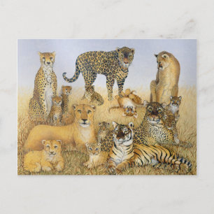 Cartão Postal Os Grandes Felinos