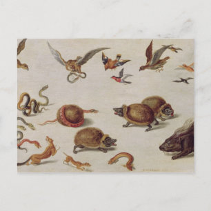 Cartão Postal Os inimigos dos Cobras