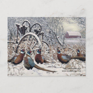 Cartão Postal "Os Intocáveis" de Joshua Spies