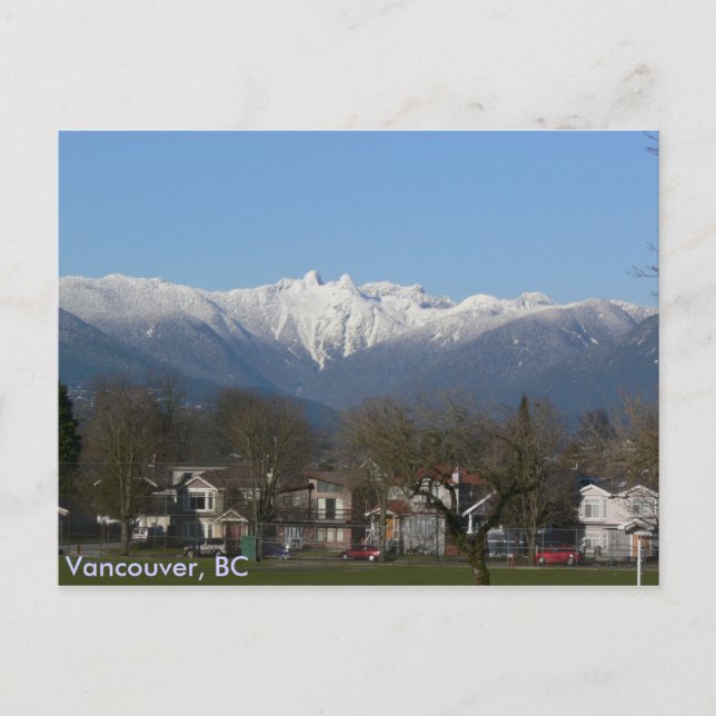 Cartão Postal Os leões - Vancôver, BC (Frente)