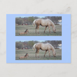 Cartão Postal Os Marcadores de Novos Chegados