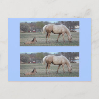 Cartão Postal Os Marcadores de Novos Chegados