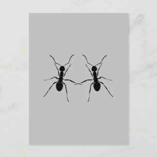Cartão Postal Os melhores amigos. Casal Ant