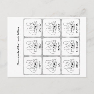 Cartão Postal Os muitos sentimentos de um Bulldog Francês