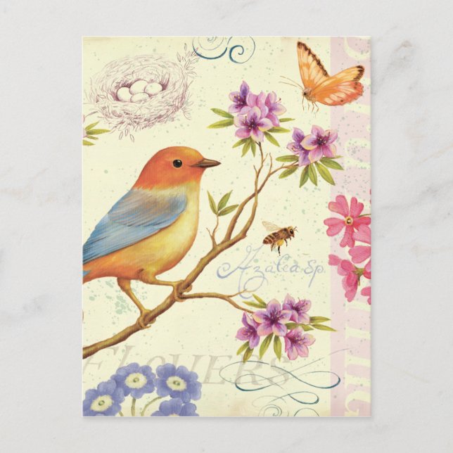 Cartão Postal Os Pássaros e as Abelhas (Frente)