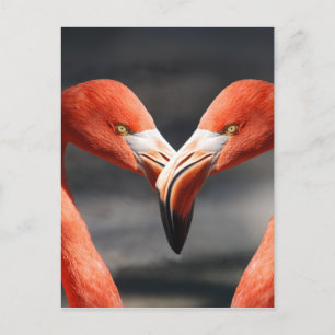 Cartão Postal Os pássaros elegantes - o símbolo do amor