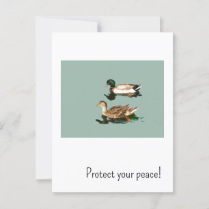 Cartão Postal Os patos. Proteja a sua paz