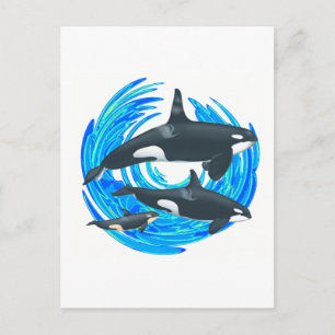 CARTÃO POSTAL OS PODS DO EXCELENTE