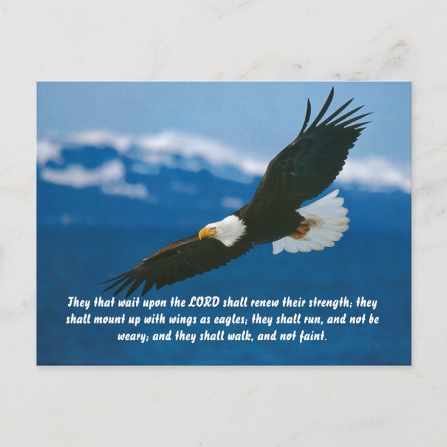 Cartão Postal Os Que Esperam no Senhor (Frente)