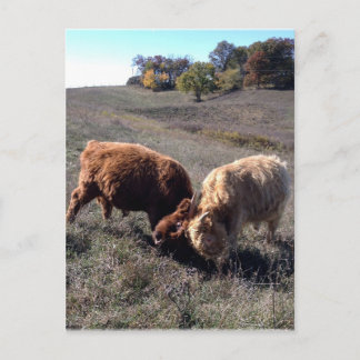 Cartão Postal Os rapazes são rapazes...