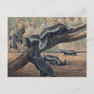 Cartão Postal Os Ratéis de Joseph Wolf