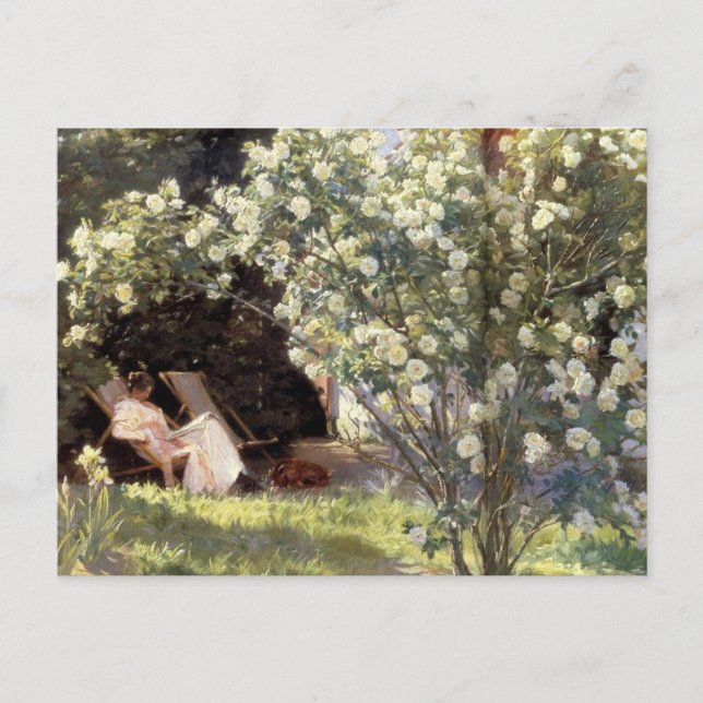 Cartão Postal Os Rosas Les de Kroyer (Frente)