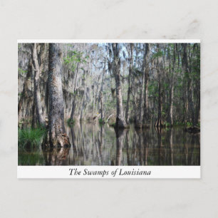 Cartão Postal Os Swamps da Louisiana