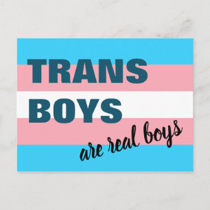 Cartão Postal Os Trans Boys São Sinalizador De Transgênero Par