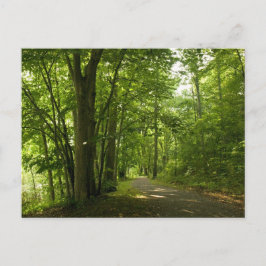 Cartão Postal Osceloa Island Weir Dam Bristol Tennessee