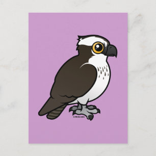 Cartão Postal Osprey Cute