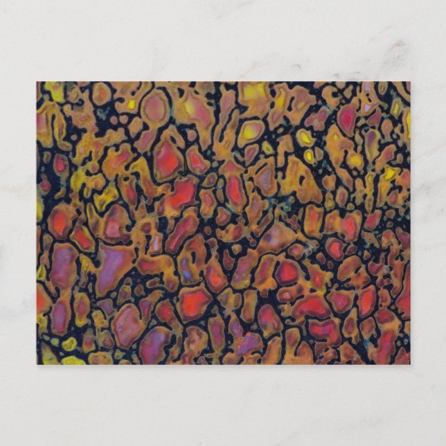 Cartão Postal Osso do Dinossauro Padrão (Frente)