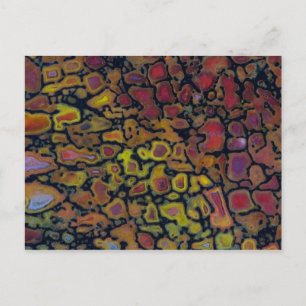 Cartão Postal Osso do Dinossauro Petrificado